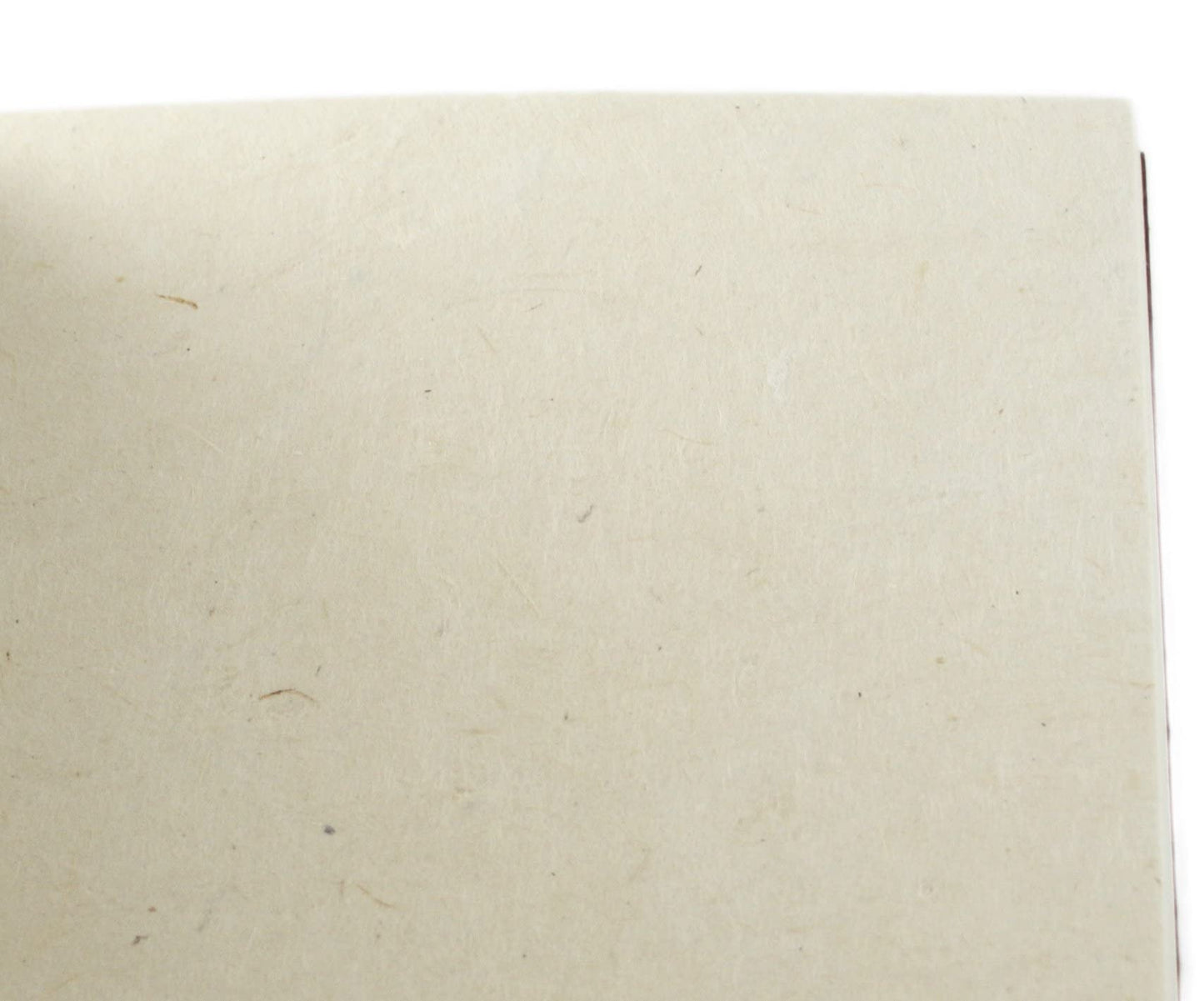 Nepali Companion 8.5x11 inch Notebook with Handmade Paper and Vegetable-Dyed Softcover, Vintage Composition Notebook for Office, School, and Home, Handcrafted in Nepal (Large, Sage)