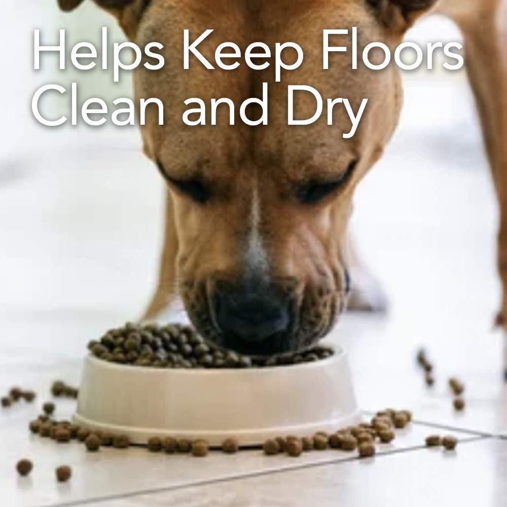Resilia Under Dog Crate and Kennel Mat to Protect Floors, Water-Resistant Pad for Hard Floors and Surfaces, 30 Inches x 48 Inches, Clear