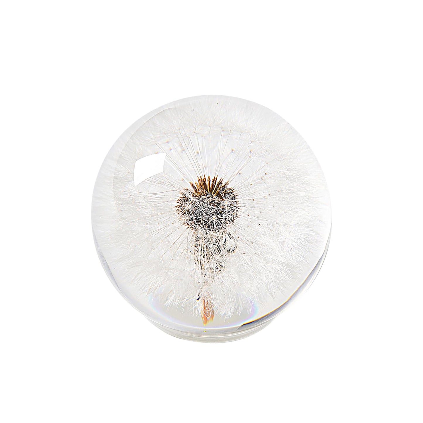1st Heaven Dandelion Paperweight – Real Dandelion in Crystal Glass Ball, Unique Gift & Home Office Decor, Symbol of Luck, Hope, and Wishes for Birthday, Graduation, Wedding
