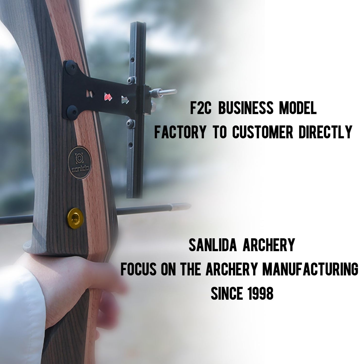 Sanlida Noble Standard Beginner & Intermediate Recurve Bow and Arrows Kit for Adult and Youth, Wooden Takedown Recurve Bow Package for Training, Practice & Competition RH Only (68", 28lbs)