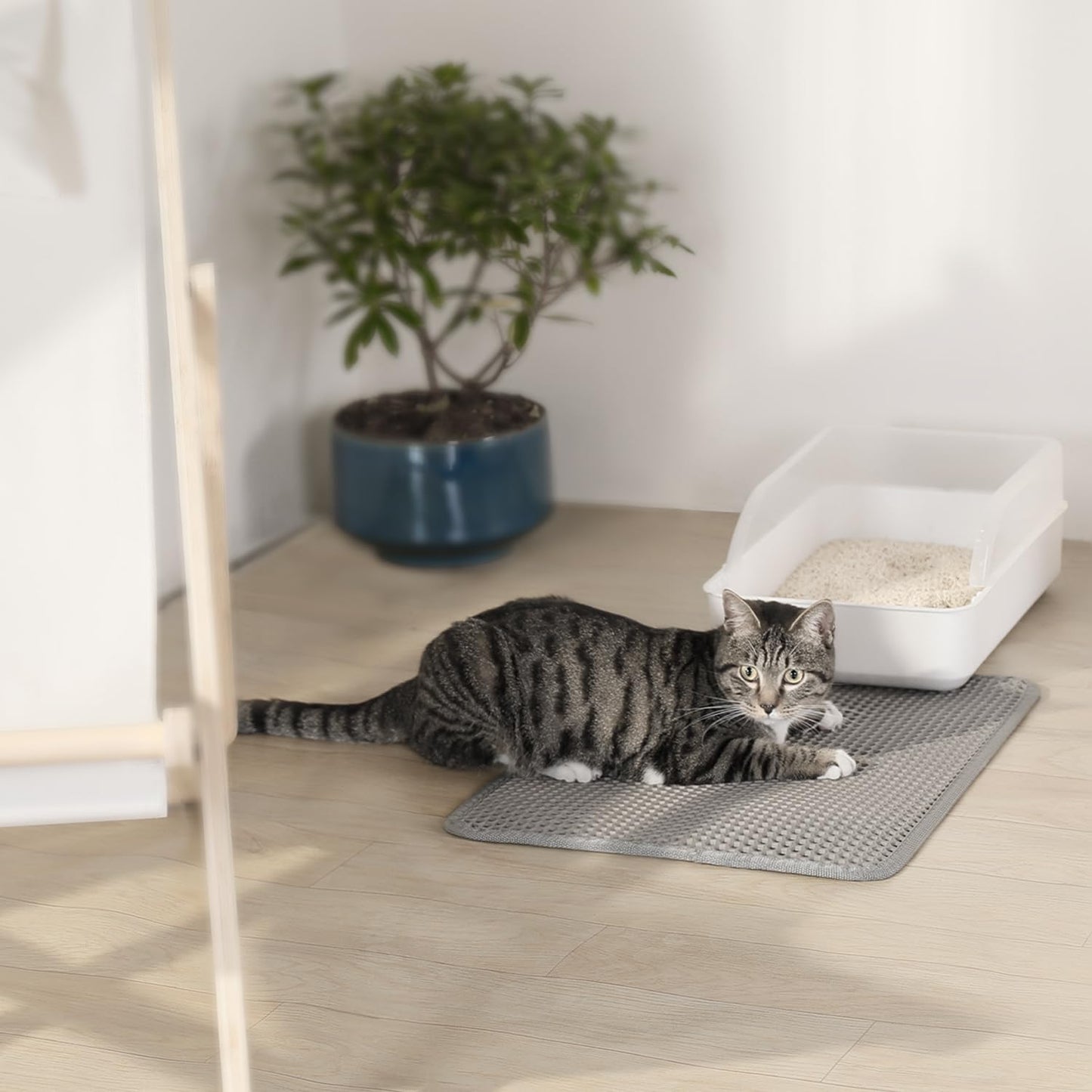 Conlun Cat litter Mat 30"x22", Large Honeycomb Double Layer Waterproof Trapping Waste for Kitty Litter Box, Easy Clean Non-Slip Cat Matt on Floor, Gray