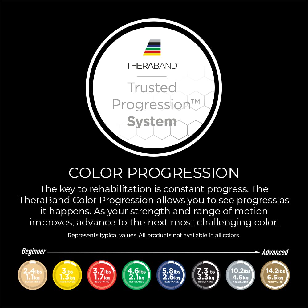 THERABAND Professional Latex Resistance Bands, Individual 6 Ft Elastic Band for Upper & Lower Body Exercise, Physical Therapy, Pilates, Home Workouts, 6 Foot, Blue, Extra Heavy, Level 5