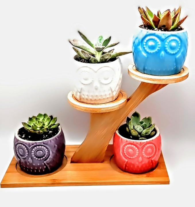 Blisse Wood Owl Planter (Pink)