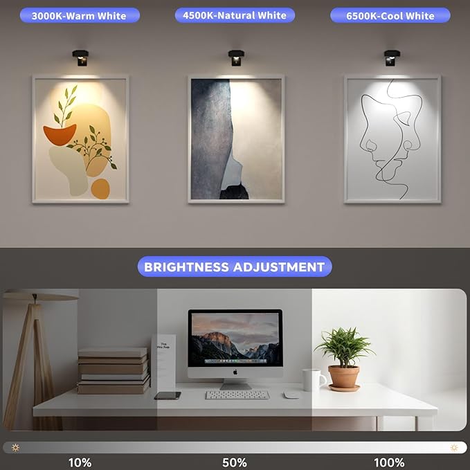 Lightbiz Picture Light 3 Pcs, Rechargeable Battery Operated Picture Lights for Wall, Magnetic Wall Lights with 3 Color Temps, Remote Dimmable Timer Poster Lights for Art Display, Frame