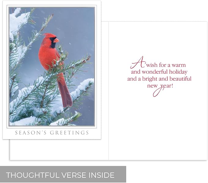 Masterpiece Let Nature Sing Cardinal Christmas Cards / 16 Boxed Holiday Seasons Greetings Card Set With Silver Foil Accents And Coordinating Envelopes / 5 5/8" x 7 7/8" Folded Winter Greeting Cards