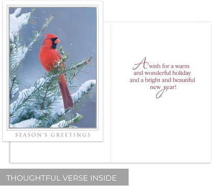 Masterpiece Let Nature Sing Cardinal Christmas Cards / 16 Boxed Holiday Seasons Greetings Card Set With Silver Foil Accents And Coordinating Envelopes / 5 5/8" x 7 7/8" Folded Winter Greeting Cards