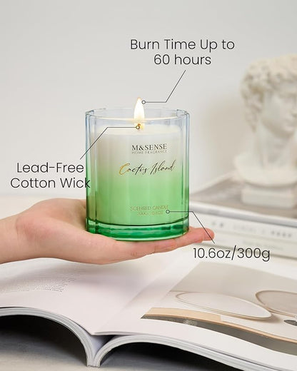 M&SENSE Spring Bergamot Cactus Scented Candle, 10.6oz Natural Soy Wax Non Toxic 60-Hour Slow Burning Highly Scented Candle for Home Decor & Housewarming Gifts