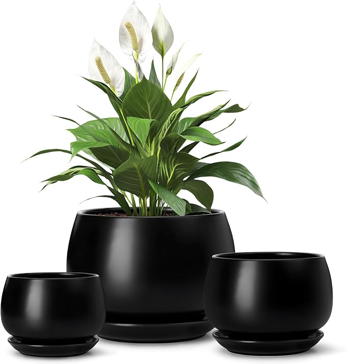 vancasso 3-Pack Ceramic Plant Pots, 3.7/4.8/6.2 Inch Indoor Planters with Saucers & Drainage Hole Planter pots for Indoor Plants and Flower, Black