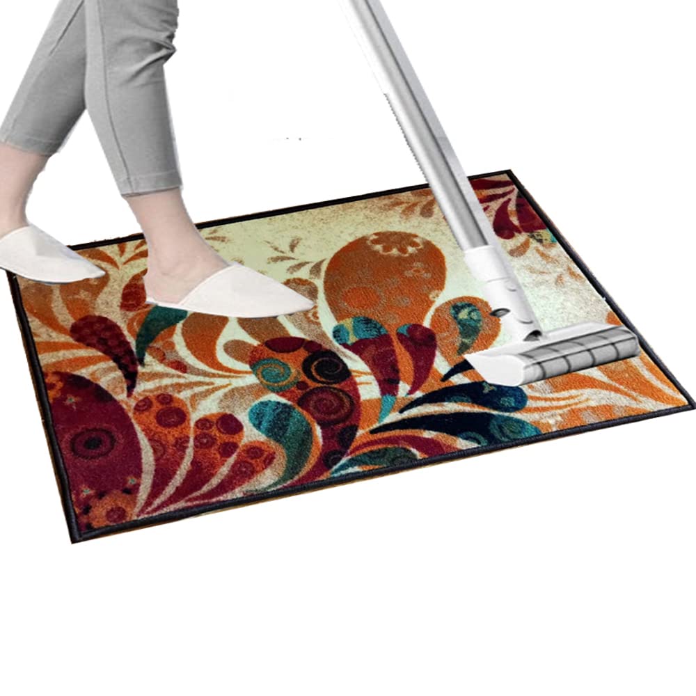 Magstonee Boho Retro Style Living Room Carpets, Indoor Large Area Rugs (20"x31"Melody)