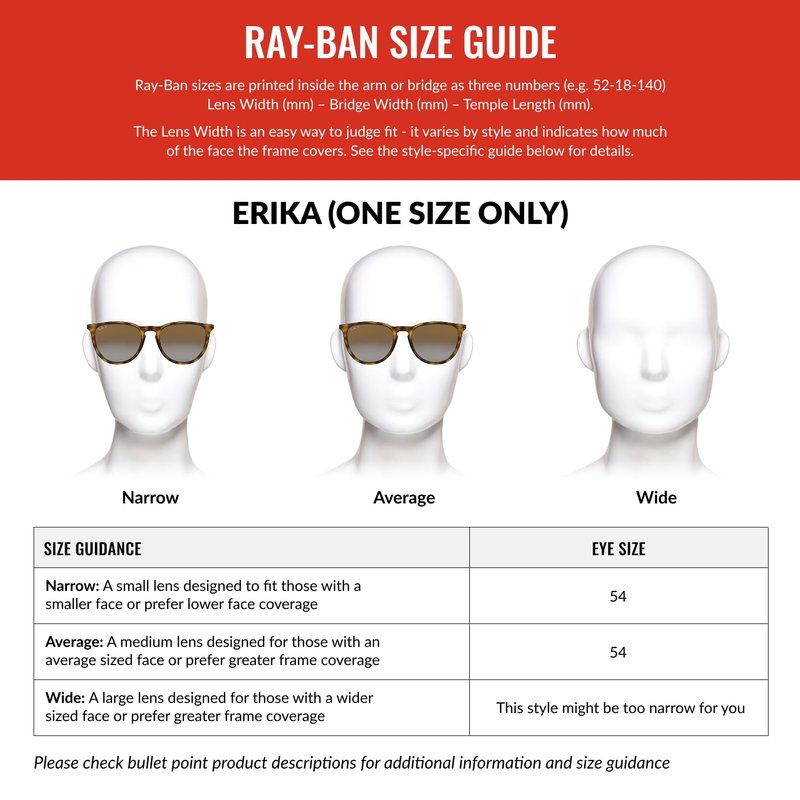 Ray-Ban Unisex RB4171 Erika Round Sunglasses, Rubber Black/Light Grey Gradient Grey Polarized, 54 mm