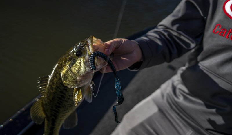 Berkley PowerBait® Power Worm Fishing Bait, Plum, 7in | 18cm, Irresistible Flavor, Classic Curly Tail Worm Profile, Ideal for Spring, Summer and Fall Fishing