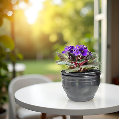 African Violet Pots Self Watering Round Ceramic Violet Pot (Gray, 6 inch)