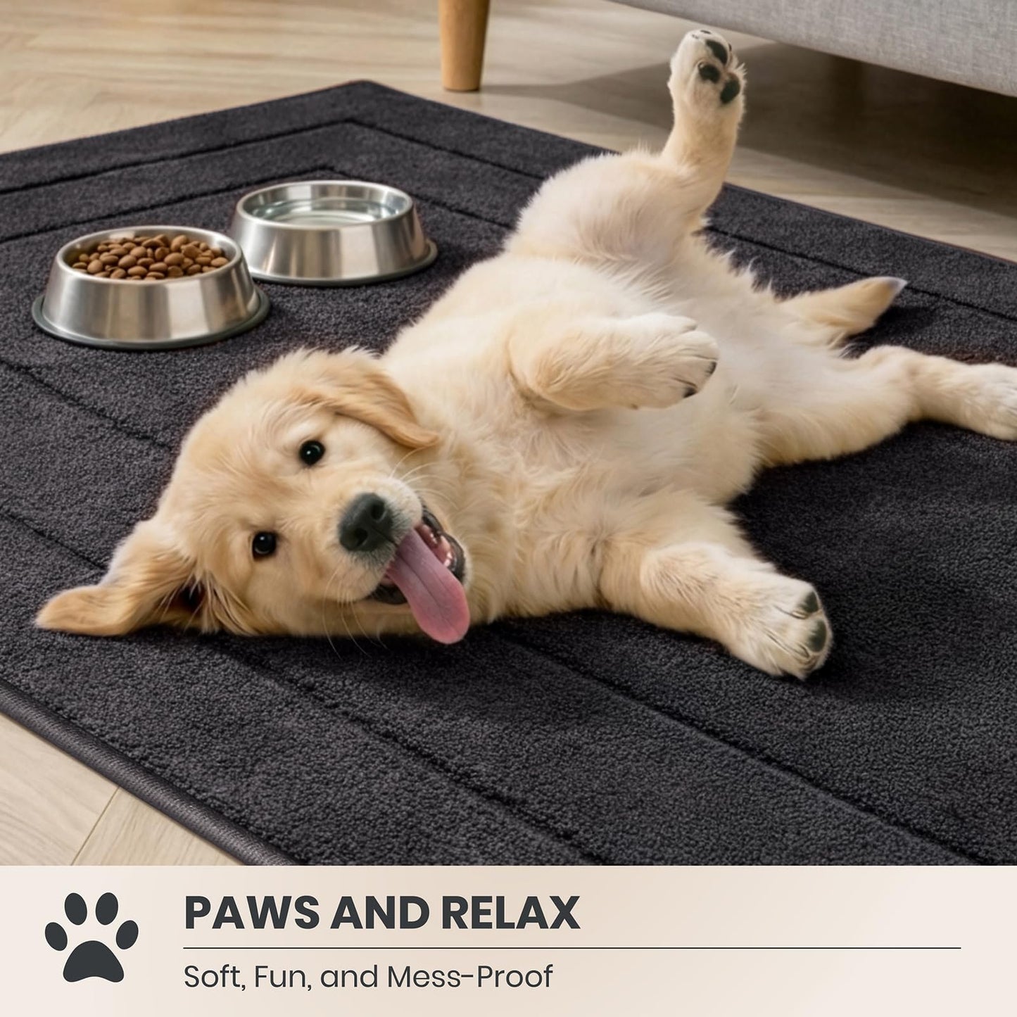 PURRUGS Dirt Trapping Door Mat 20" x 31.5", Non-Slip/Skid Machine Washable Entryway Rug, Dog Doormat, Super Absorbent Welcome Mat for Muddy Wet Shoes and Paws, Charcoal