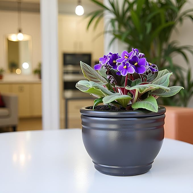 African Violet Pots Self Watering Round Ceramic Violet Pot (Gray, 6 inch)