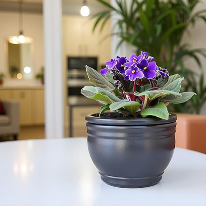 African Violet Pots Self Watering Round Ceramic Violet Pot (Gray, 6 inch)