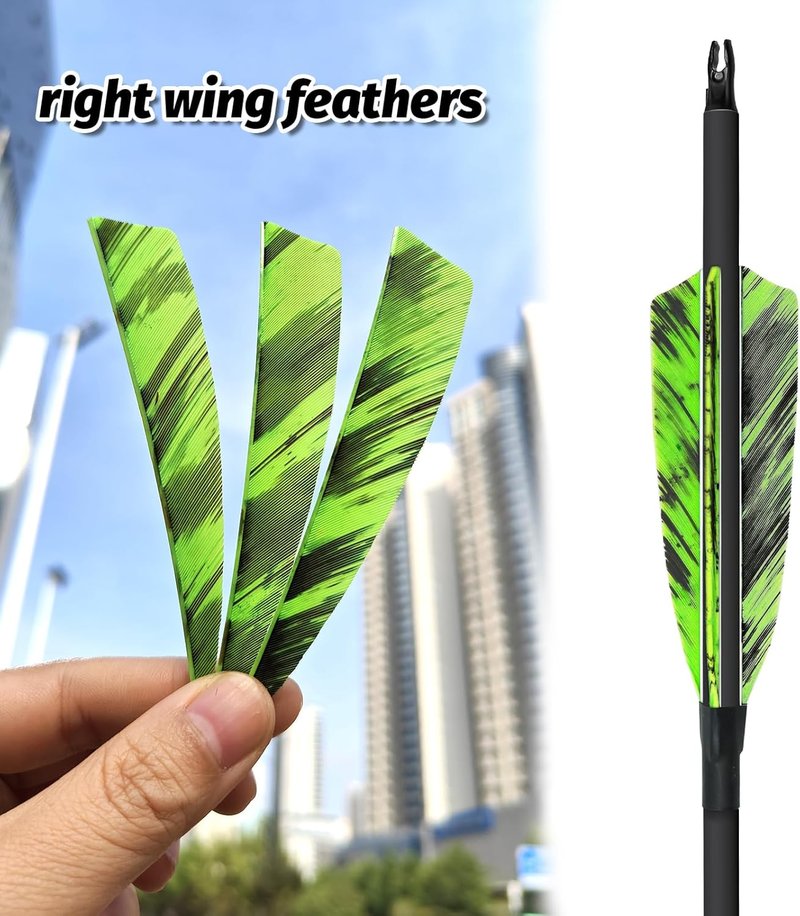 Natural Turkey Fletchings - 36pcs 4-Inch Shield Cut Real Feathers for Archery | Right Wing Vanes