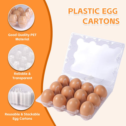 DecarDamai 100 Pack 3x4 Plastic Egg Cartons Cheap Bulk 12 Count Clear, Reusable & Sturdy Design Eggs Carton Bulk Perfect for Family, Farm, Markets, Display (Egg Storage Containers)
