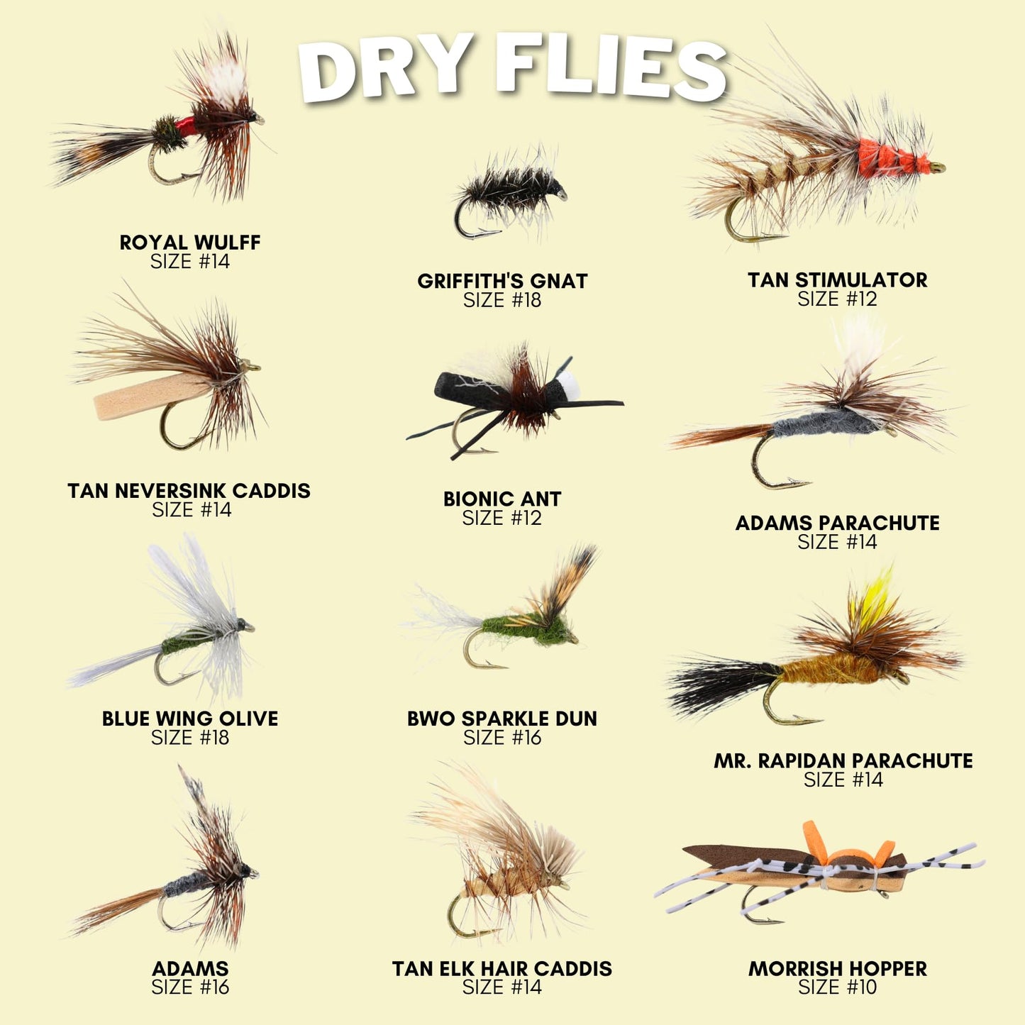 24 Fly Fishing Flies Assortment for Trout | 2 Dozen Fly Fishing Flies Kit | Dry Flies, Nymph, Wet, Streamers, Wooly Bugger Flies | Trout Lure Set Kit
