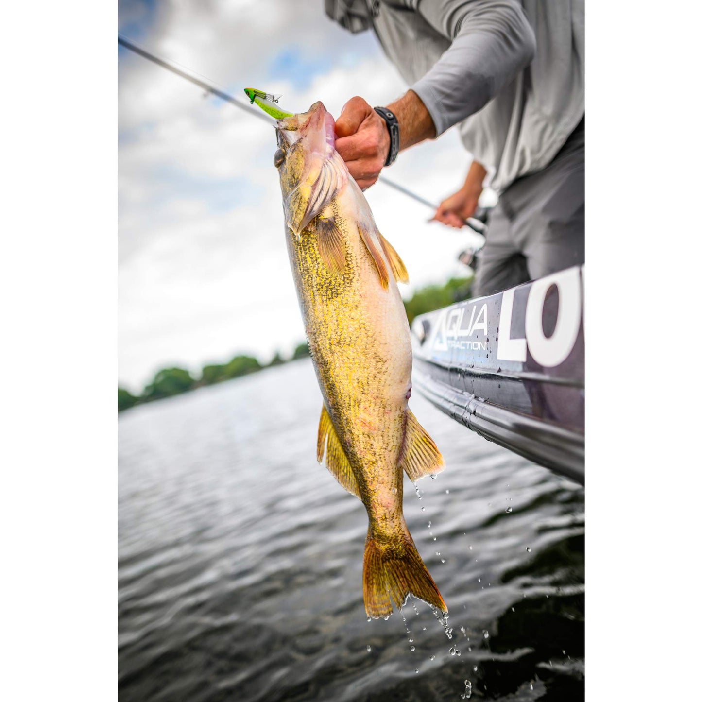 Berkley Gulp! Alive! Minnow , Chartreuse Shad, 4-Inch (12 oz)