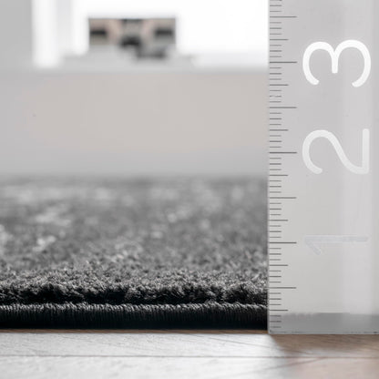 nuLOOM Arlena Vintage Traditional Area Rug - 5x8 Area Rug Modern/Contemporary Black/Grey Rugs for Living Room Bedroom Dining Room Kitchen