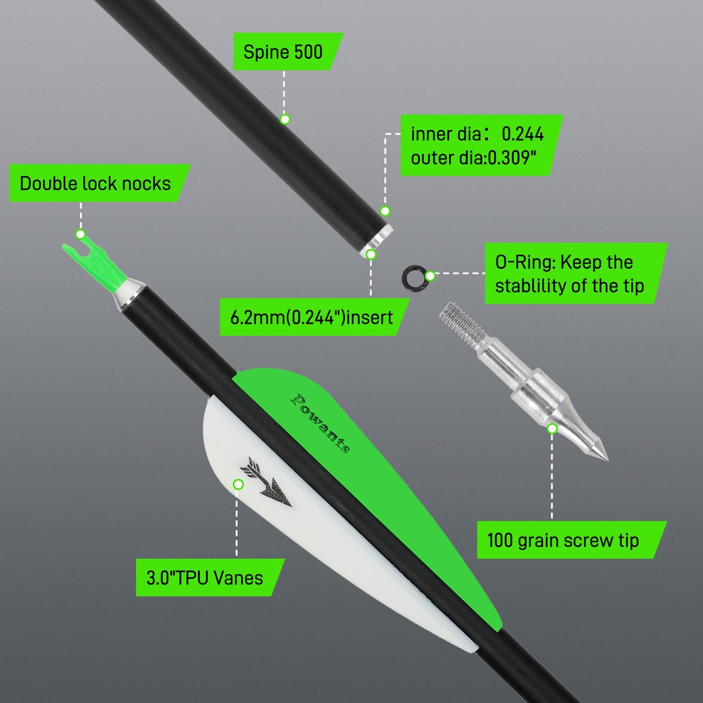 Powants 31inch Carbon Arrow Archery Targeting Practice Hunting Arrows for Compound & Recurve Bow with Removable Tips(Pack of 12) (Green)