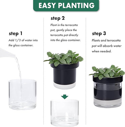 Phoenix Vine 4 Inch Self Watering Planter Pot, Black Terracotta Clay Pot with Glass Reservoir for Indoor Plants, Herbs, Flowers, Set of 4, 52-C-E-4