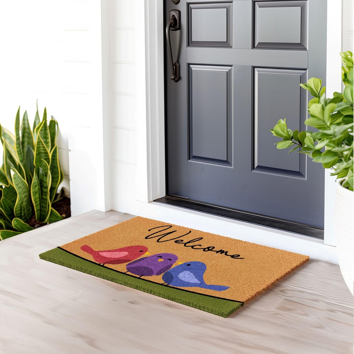 Barnyard Designs Natural Coco Coir Spring Birds Doormat - Large Cute Non-Slip Heavy Duty Backing Door Mat for Outside Entrance or Porch Entry, Brown (17x30, Spring Birds)