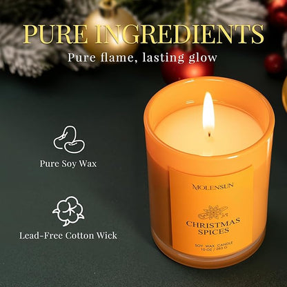 Christmas Spices Candle, 10oz Soy Scented Candle for Home, Christmas Birthday & Holiday Gifts for Women & Men, Long Lasting 50+ Hour Clean Non-Toxic Burn, Elegant Winter & Christmas Home Decor