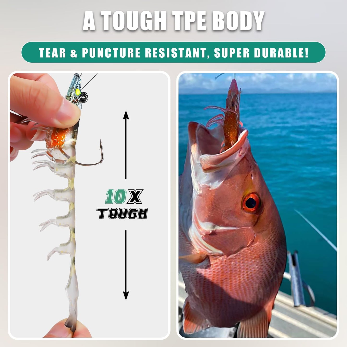 TRUSCEND Duramax Soft Fishing Lures with BKK Hooks, Balanced Action, Tear-Resistant TPE, Pre-Rigged Shrimp & Crayfish Lures for Bass, Trout, Walleye, Crappie, Freshwater Saltwater Pro Fishing Baits