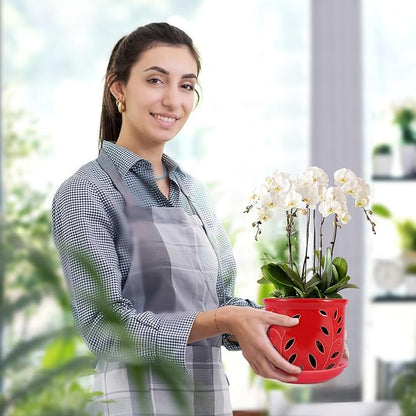 Orchid Pot with Holes & Saucer 6.1 in, Large Orchid Pot for Repotting Plant Flower, Planter with Drainage & Removable Tray for Indoor Outdoor Home Decor, Red