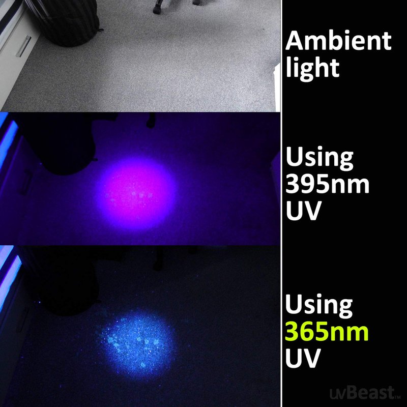 uvBeast V3 365nm Black Light UV Flashlight – High Definition Ultraviolet - HIgh Power and Long Range Professional Grade Beam Best for Professional/Commercial Use – USA Stock