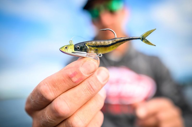 Berkley PowerBait Champ Minnow Fishing Bait - HD Bluegill, 2.5in | Irresistible Scent for Bass & Walleye