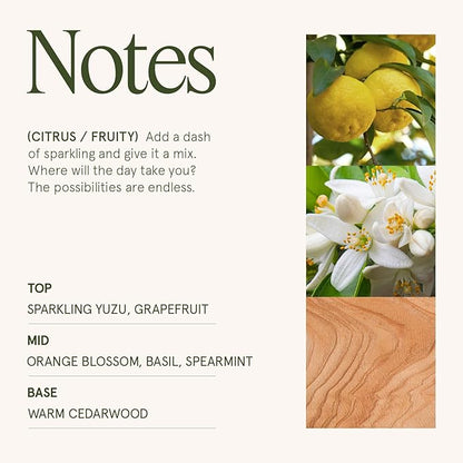 LA JOLIE MUSE Yuzu & Neroli Blossom Candle - Yuzu, Orange Blossom, Cedarwood | 12 oz Large 2-Wick Soy Wax Candle | 60 Hours Clean Burn | Citrus Scented Candle | Elegant Home Décor