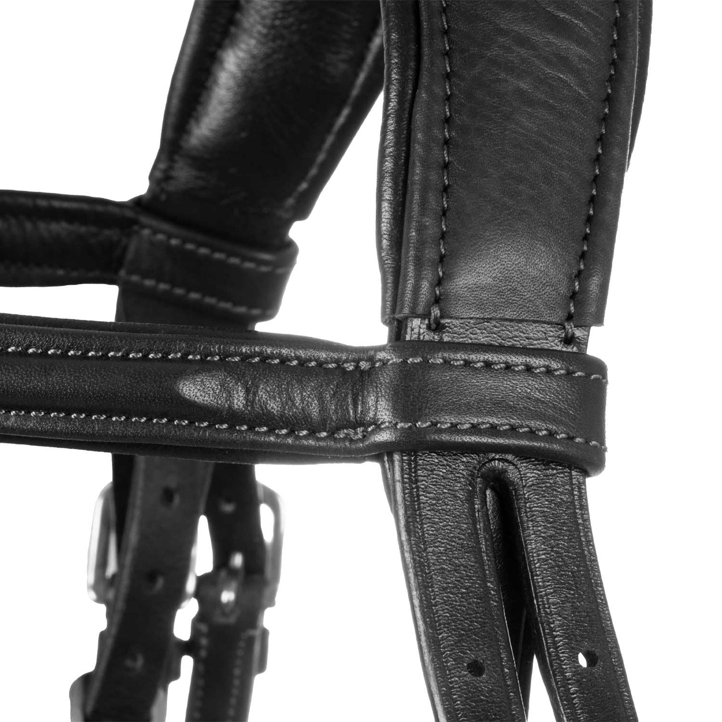 Acavallo Primavera Bridle Calfskin, Full Size, Black