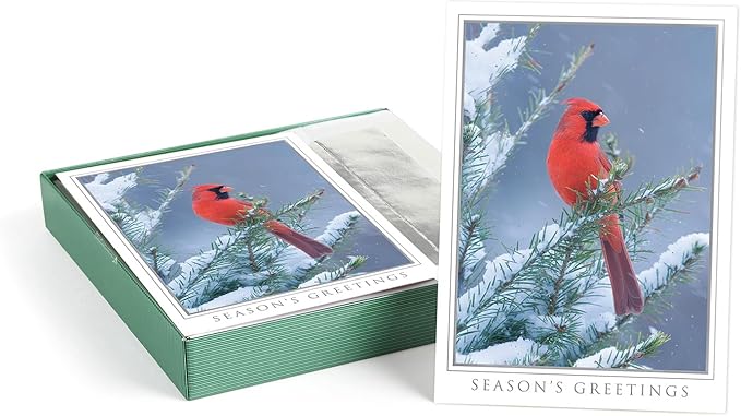 Masterpiece Let Nature Sing Cardinal Christmas Cards / 16 Boxed Holiday Seasons Greetings Card Set With Silver Foil Accents And Coordinating Envelopes / 5 5/8" x 7 7/8" Folded Winter Greeting Cards