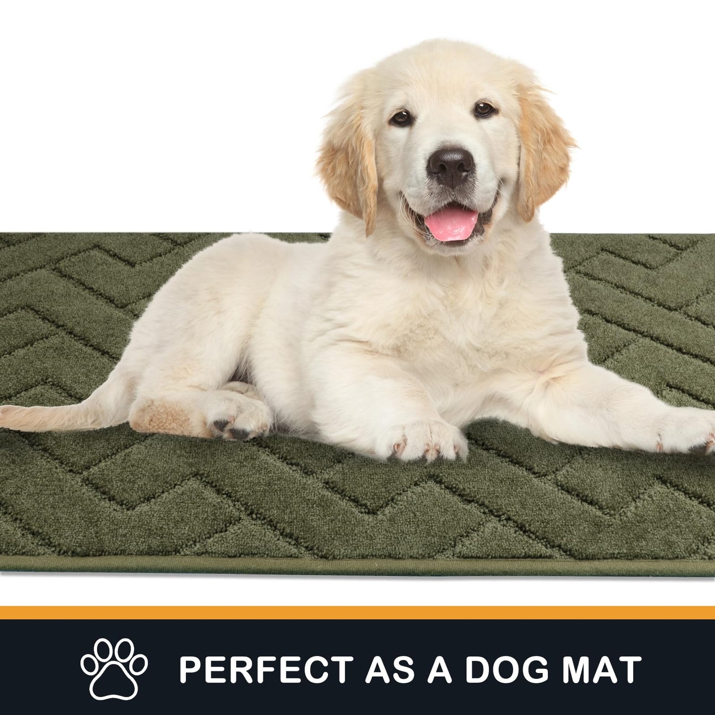 PURRUGS Dirt Trapping Door Mat 20" x 31.5", Non-Slip Machine Washable Entry Rug, Dog Doormat, Indoor Front Door Mat, Super Absorbent Entryway Rug for Muddy Shoes & Paws, Sage Green
