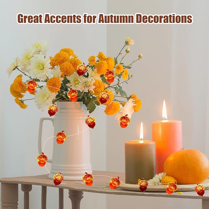 Thanksgiving Lights Fall Decorations Acorn Lights 30 LEDs 10ft Battery Powered, Fall Decor for Fireplace Farmhouse Autumn Tree Ornaments Home Decor