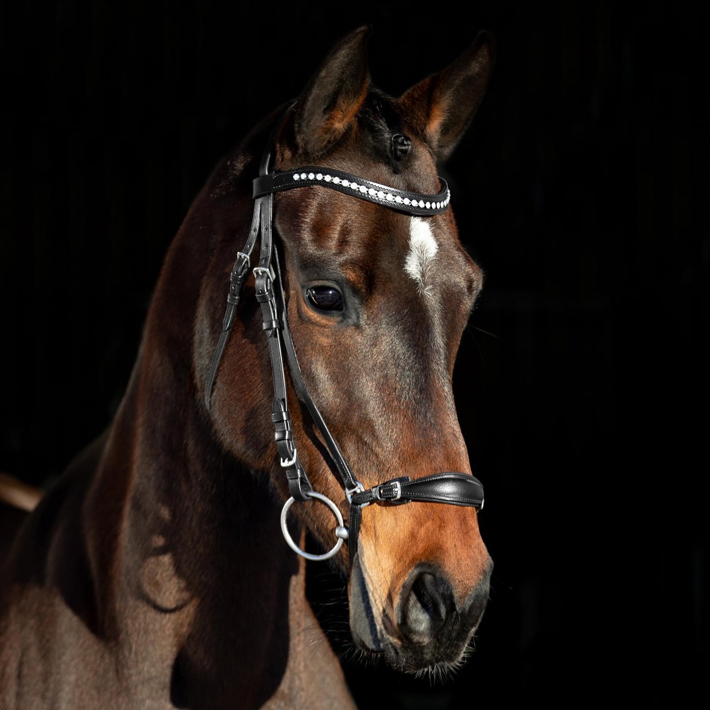 HORZE Bergen Leather Remont Bridle - Black - Cob