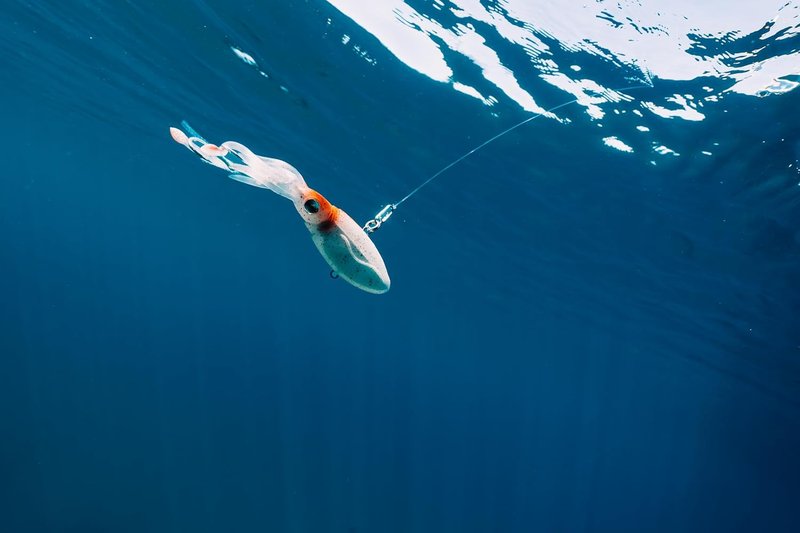 Nomad Design Squidtrex Vibrating Fishing Lure - TPE Soft Plastic Bait with Strong BKK Assist Hooks for Saltwater Fishing