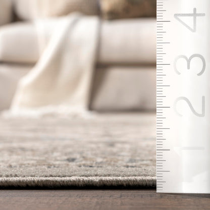 nuLOOM Oval 4x6 Becca Traditional Tiled Area Rug, Taupe, Faded Transitional Design, Stain Resistant, For Bedroom, Dining Room, Living Room, Hallway, Office, Kitchen, Entryway