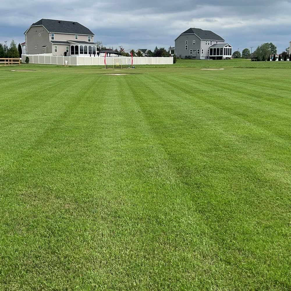 Outsidepride Maya (Blackjack II) Bermuda Grass Seed - 10 lbs Warm Season, Drought Tolerant, Fast Growing, Fine-Textured Bermuda Grass Seeds for Lawn, Parks, Golf Courses & Sports Fields