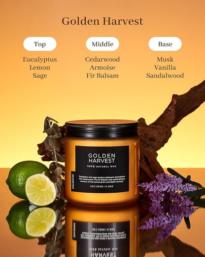 M&SENSE Fall Harvest Scented Candle, 11.6oz Natural Soy Wax 70 Hours Long Lasting Highly Scented 2 Cotton Wick Candle Gifts for Birthday Holiday, Decorative & Home