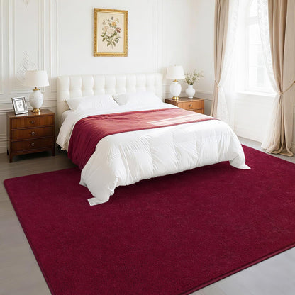 B BENRON Soft Rugs for Living Room 5x7 Wine Red, Minimalist Area Rug for Bedroom Nursery Dining Table Dorm, Throw Rugs for Men Boys Girls Kids Room Indoor Floor Carpets