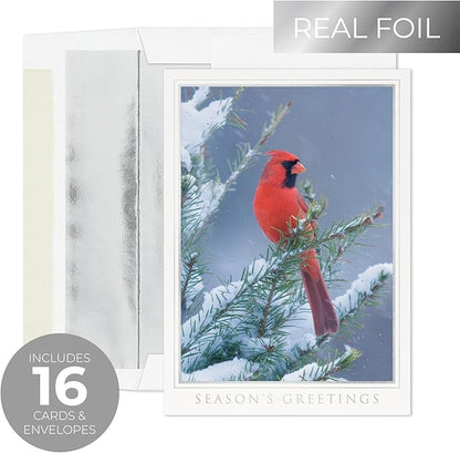 Masterpiece Let Nature Sing Cardinal Christmas Cards / 16 Boxed Holiday Seasons Greetings Card Set With Silver Foil Accents And Coordinating Envelopes / 5 5/8" x 7 7/8" Folded Winter Greeting Cards