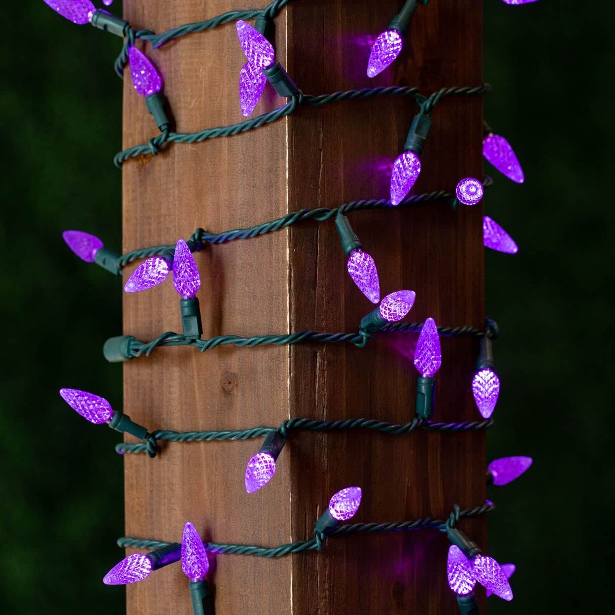 Novelty Lights 24FT 70 LED C6 Christmas String Lights, Outdoor Tree Commercial Grade Permanent Decorations (Purple)