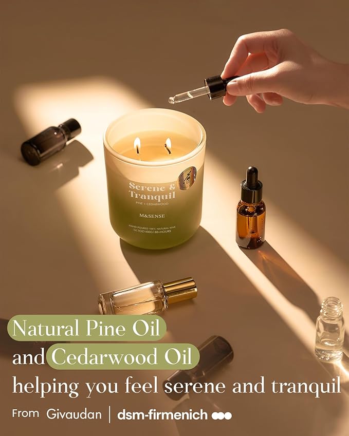 M&SENSE Pine Cedarwood Holiday Candle for Home, 14.1oz 80 Hours Non Toxic Natural Soy Wax Woody Scent Long Lasting Aromatherapy Candles for Winter