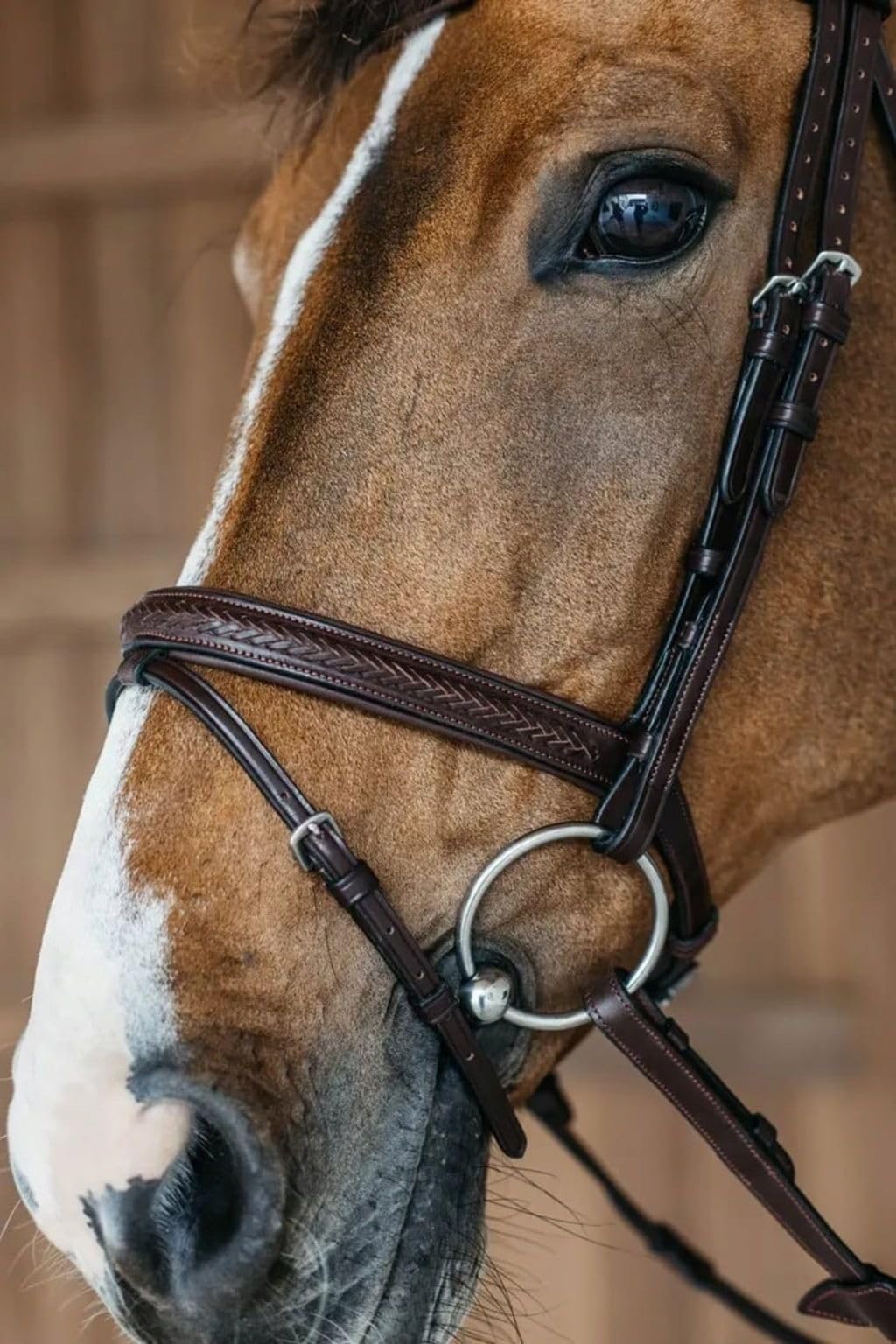 Bello-Equine Braided Havana Brown Leather Bridle with Removable Flash – Padded Browband & Noseband – Horse Riding Bridle for Schooling & Show - Size Full