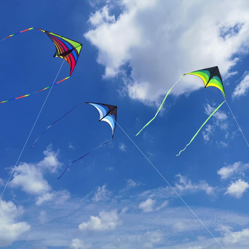 Mint's Colorful Life 3 Pack Delta Kites for Kids & Adults, Extremely Easy to Fly Kite, Best Kite for Beginner(Green & Rainbow & Blue)