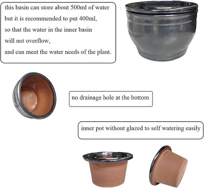 African Violet Pots Self Watering Round Ceramic Violet Pot (Gray, 6 inch)