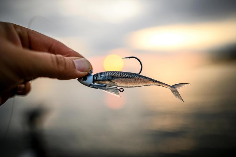 Berkley PowerBait Champ Minnow Fishing Bait - HD Bluegill, 2.5in | Irresistible Scent for Bass & Walleye